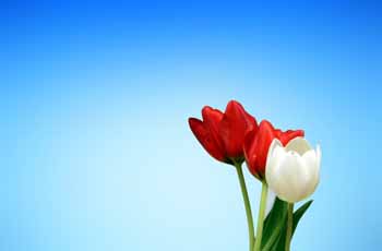 安全稳定可靠的ddos攻击工具