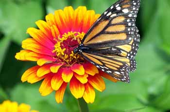 网站攻击工具手机版