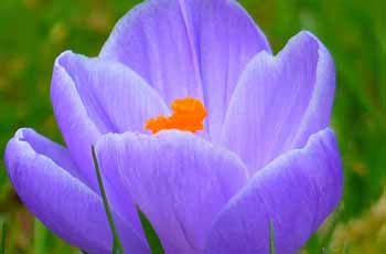 极速启动流畅的ddos在线攻击