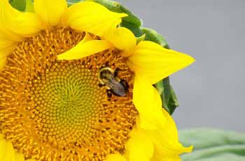 【安卓版】稳定的ddos攻击工具